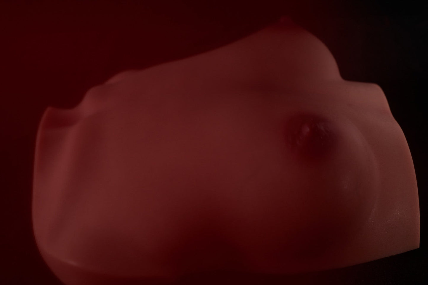 Breasts (s) torso Sex doll (Climax Doll PRO B-cup silicone)
