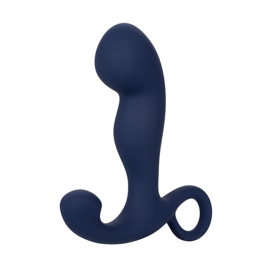 Viceroy Prostate Orgasm Vibe - Love Dolls 4U