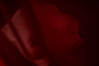 Breasts (s) torso Sex doll (Climax Doll PRO B-cup silicone) - Love Dolls 4U