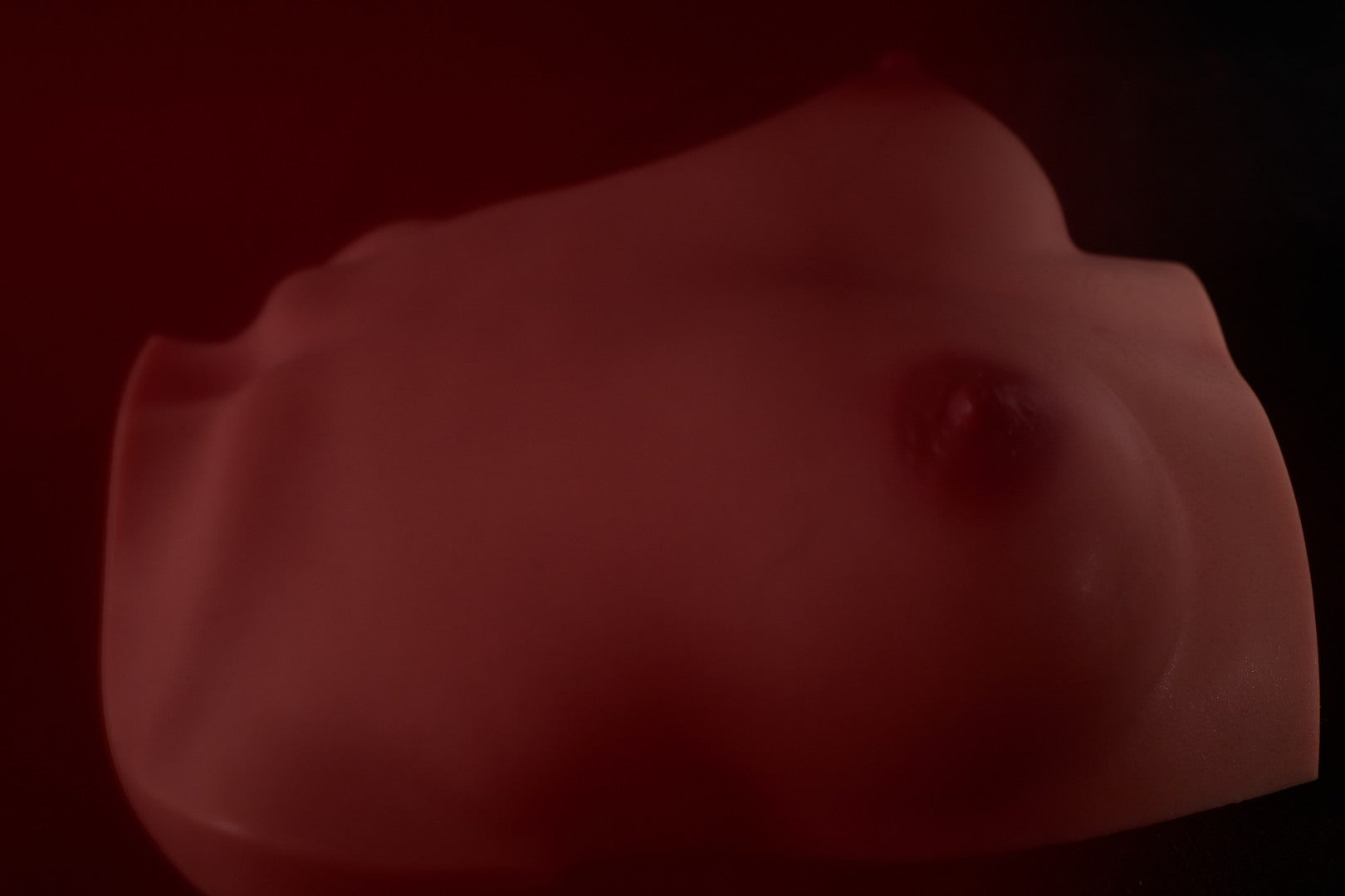Breasts (s) torso Sex doll (Climax Doll PRO B-cup silicone) - Love Dolls 4U