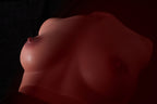 Breasts (s) torso Sex doll (Climax Doll PRO B-cup silicone) - Love Dolls 4U