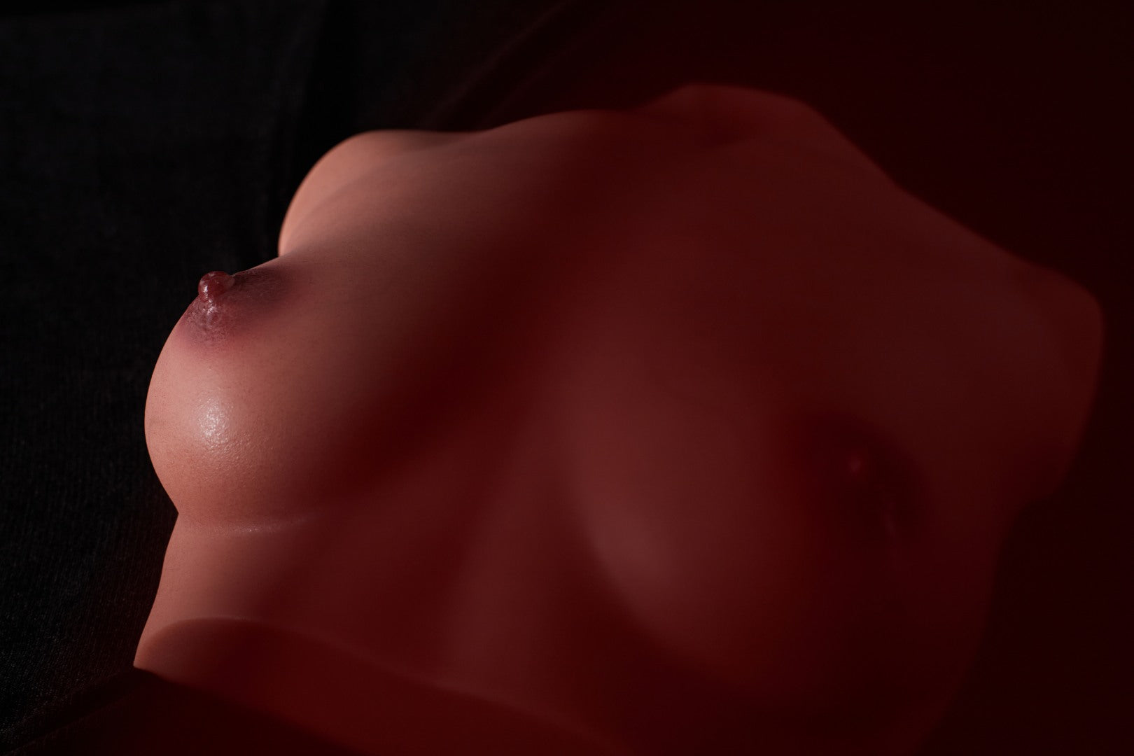 Breasts (s) torso Sex doll (Climax Doll PRO B-cup silicone) - Love Dolls 4U