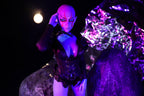 Momoko Sex doll (Climax Doll Mini 60cm f-cup silicone)