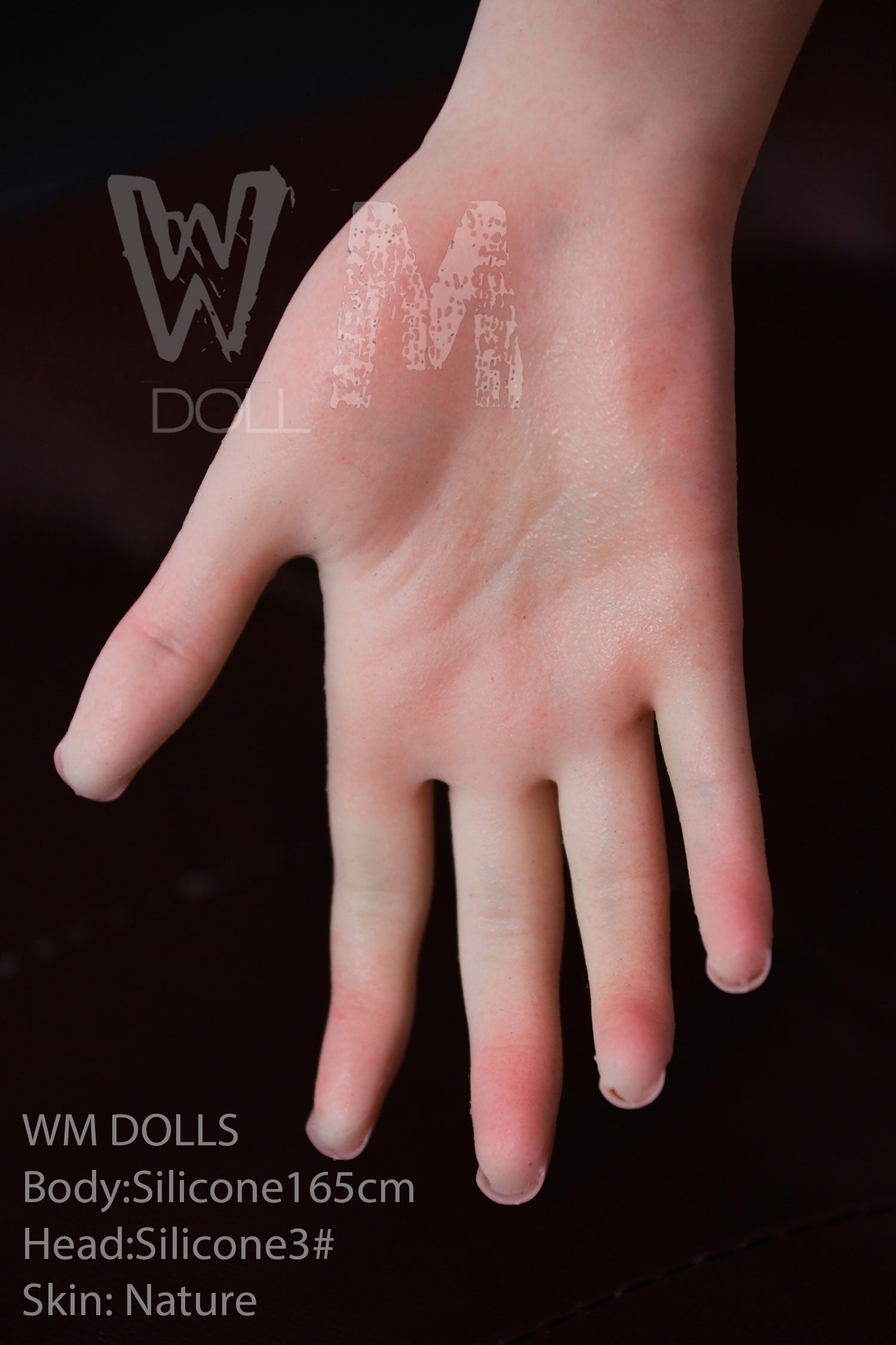 Wendi 5ft 5in (165cm) Silicone Sex Doll - WM Dolls - Love Dolls 4U